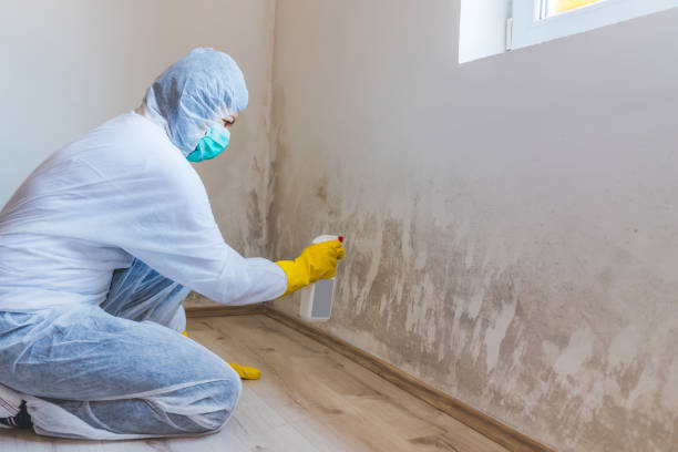 Crawl Space Mold Remediation treatment of floor joists in Aurora